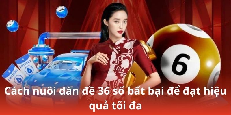 Cách nuôi dàn đề 36 số bất bại để đạt hiệu quả tối đa