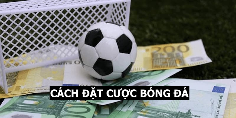 Hướng dẫn cách đặt cược bóng đá cho khách hàng chưa biết